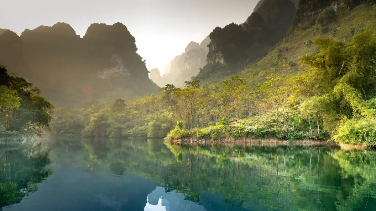 高效高端独特